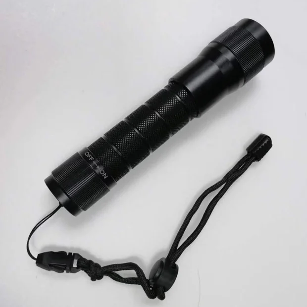 Violet Laser Pointer, Diving