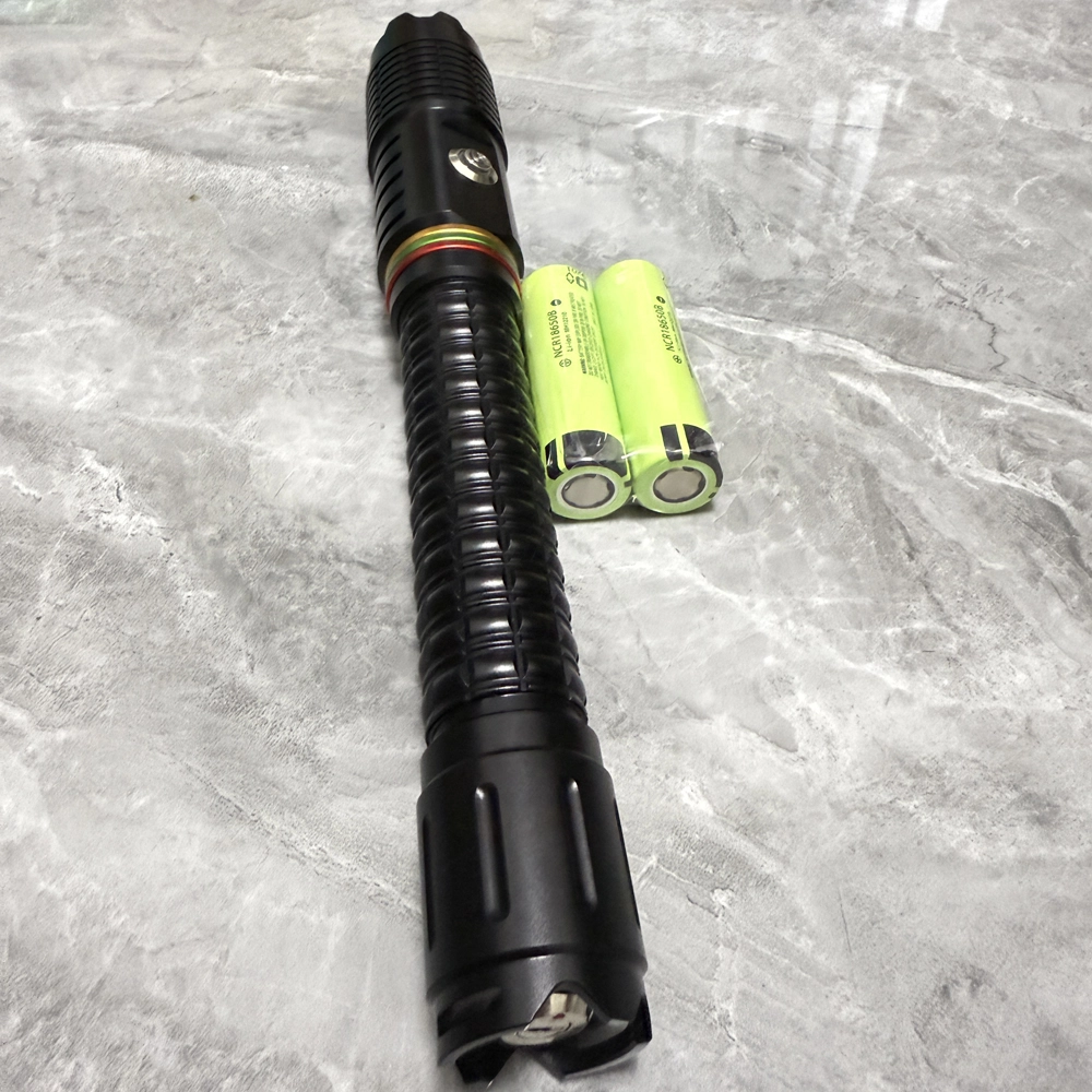 Professional Laser Pointer