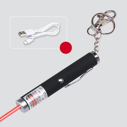 Powerful USB Mini Red Laser Pen 50mW/100mW with Keychain