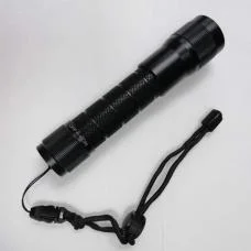 Powerful 405nm Violet Laser Pointer for Diving (100mW / 300mW / 1000mW)