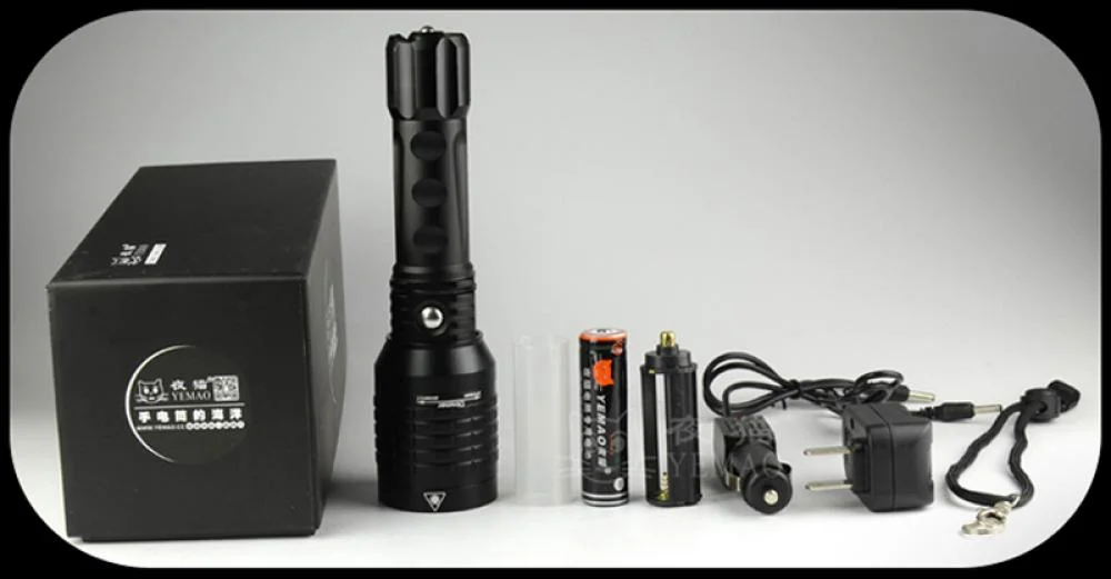 LED Flashlight with Laser