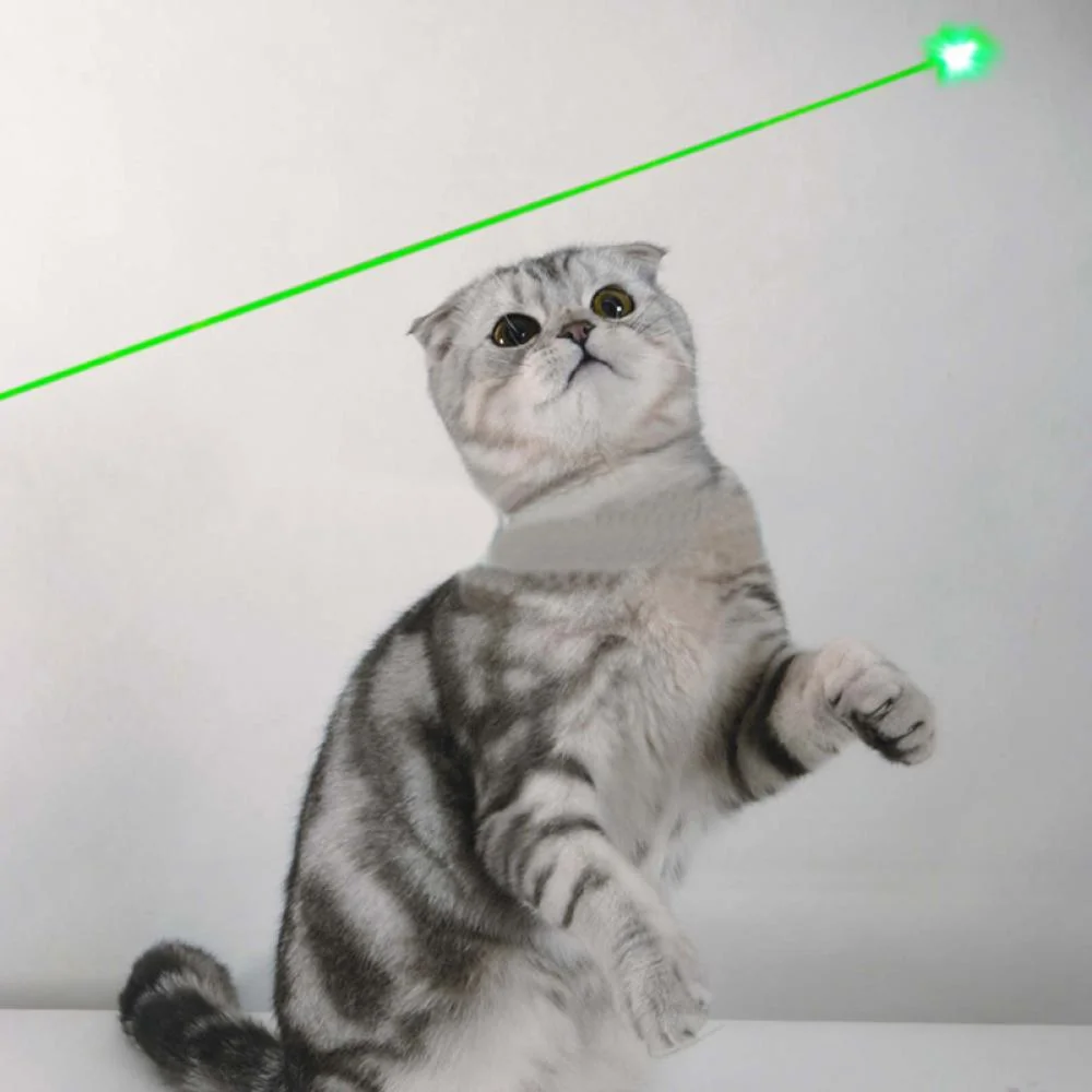 Green Laser Pointer for Cats