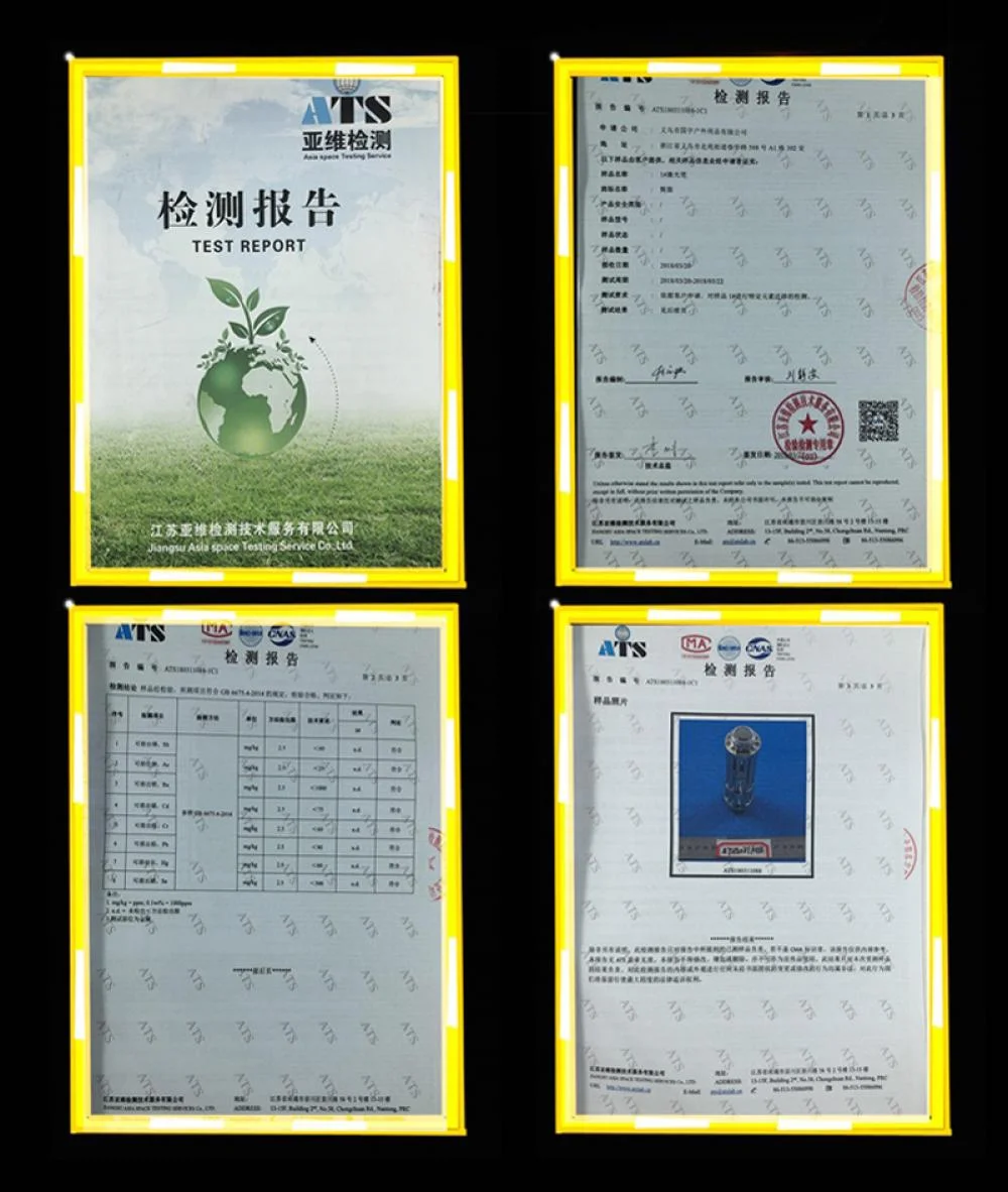 Laser Pointer 5000mW 450nm