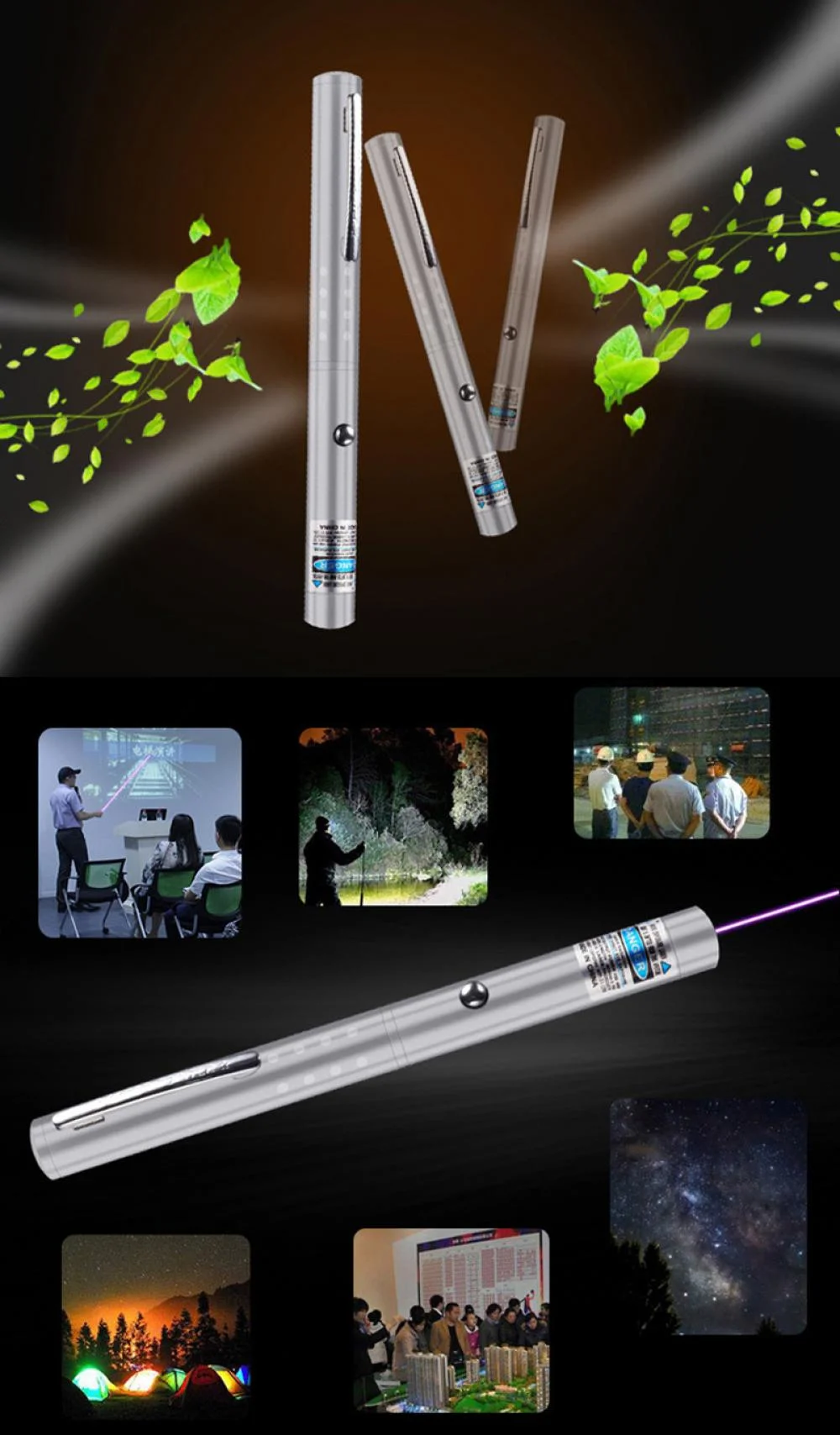 Laser Pen 5-100mW