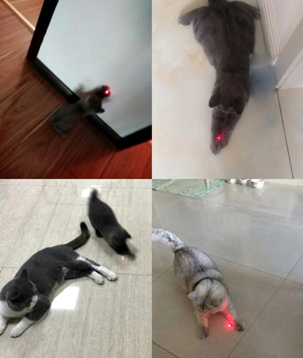 Red Laser for Cats