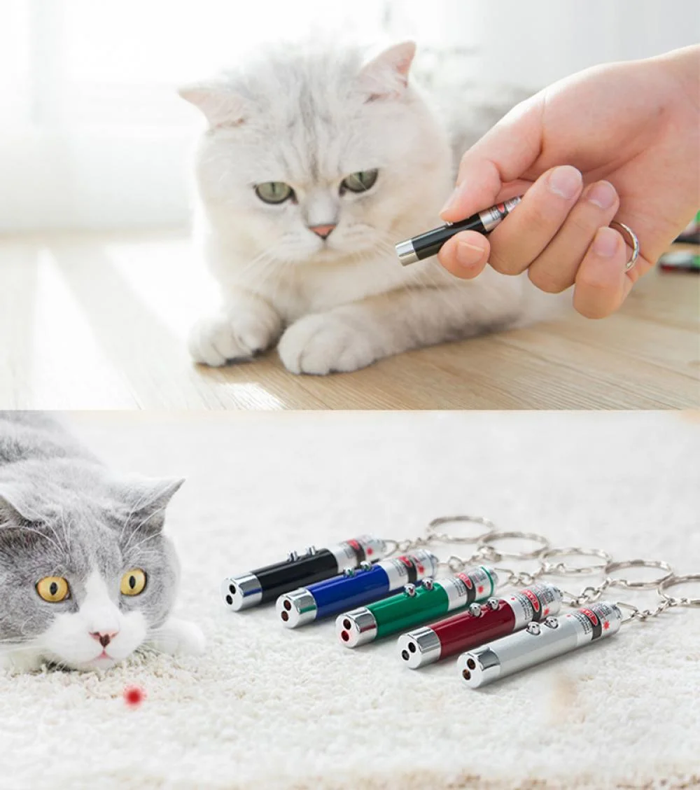 5mW Red Laser Pen for Cats