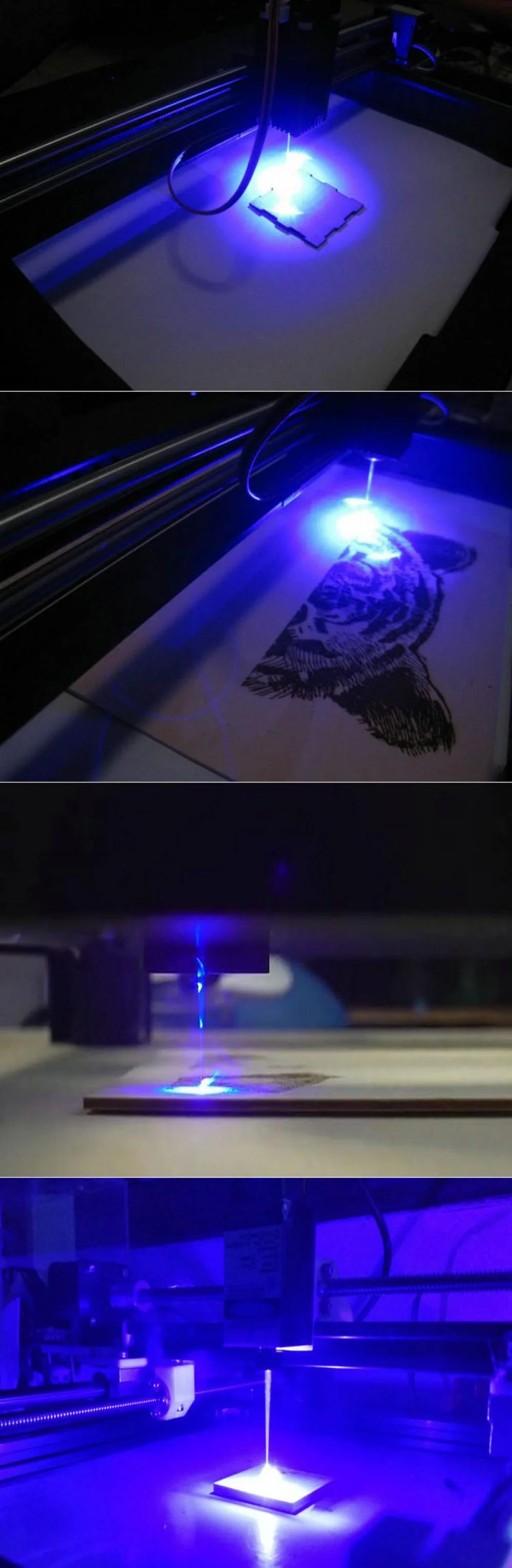 445nm Laser Module