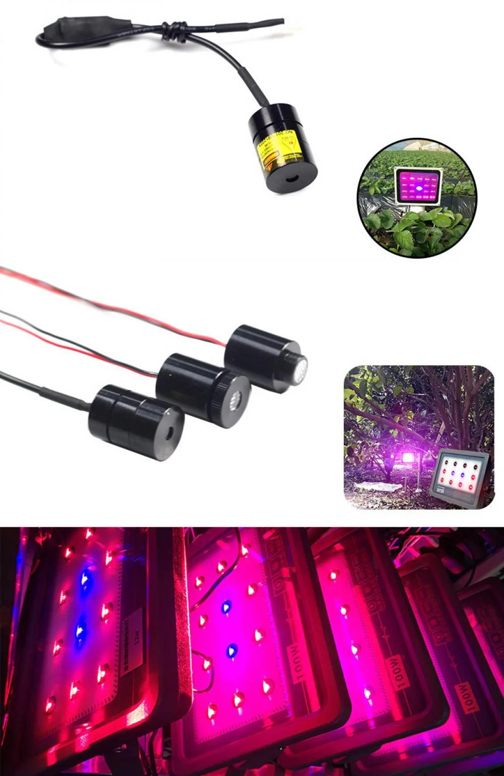 Laser Module for Plant Grow Light