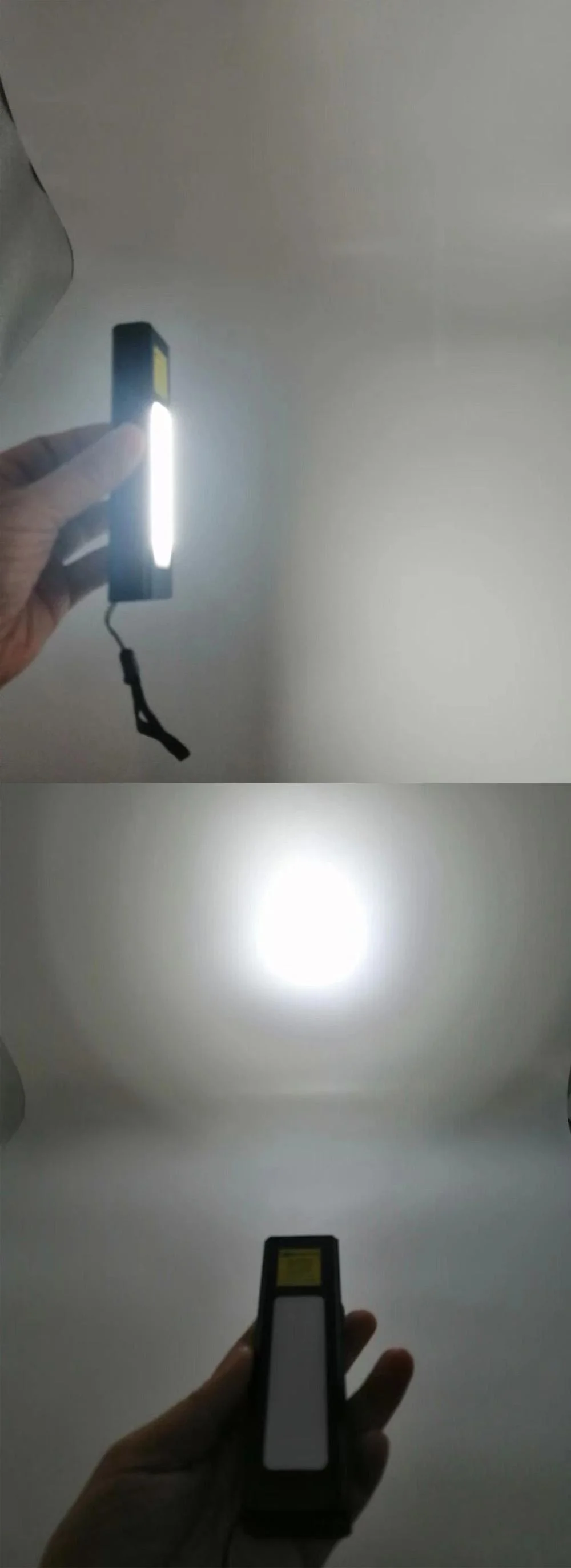 Laser Pointer with Flashlight