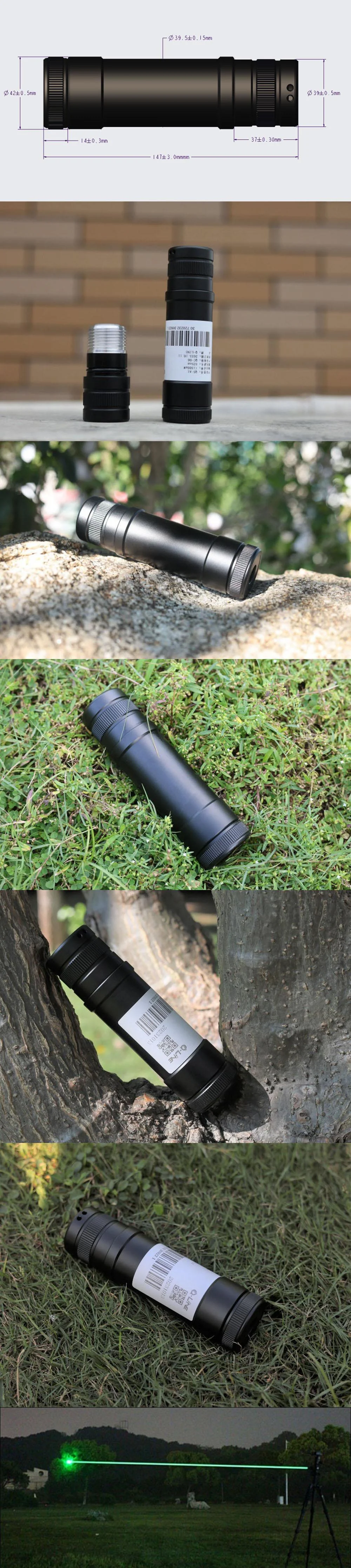 Submersible Green Laser Pointer